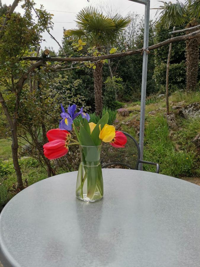 Apartman Marijeta Mošćenička Draga Eksteriør billede